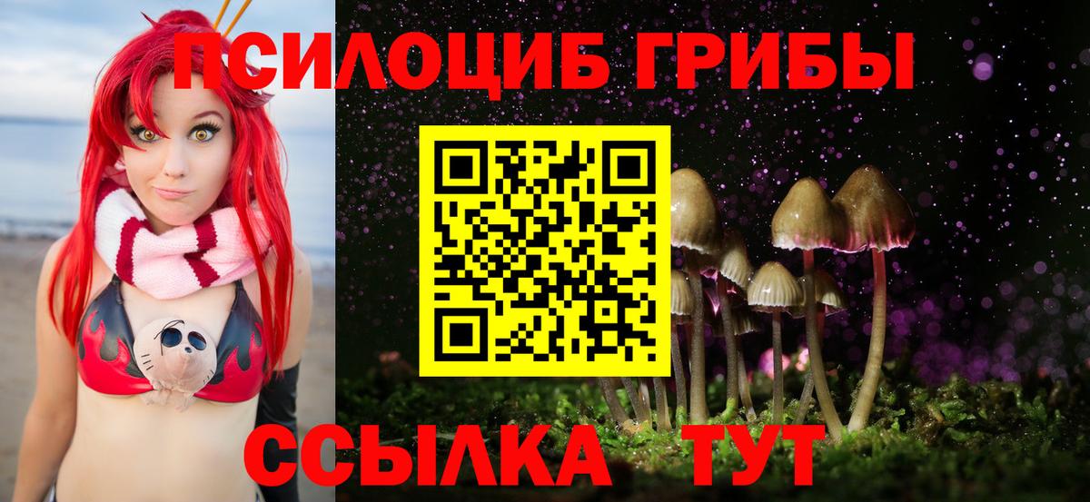 Карпинск  Галлюциногенные грибы Cubensis  Вход с VPN  Галлюциногенные грибы Magic Shrooms 